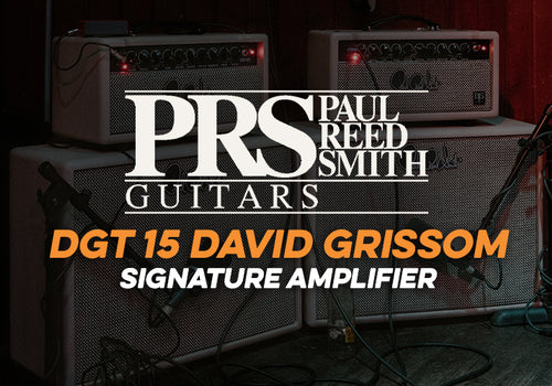 PRS | DGT 15 Amplifier Head & Cabinet