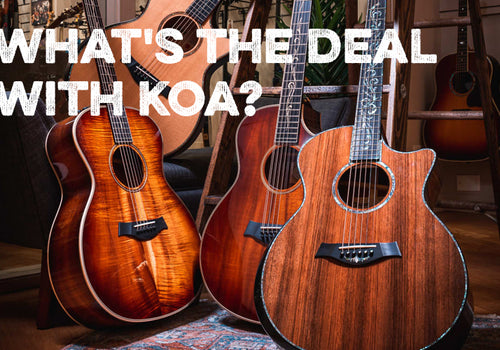 What's the Deal with Koa?