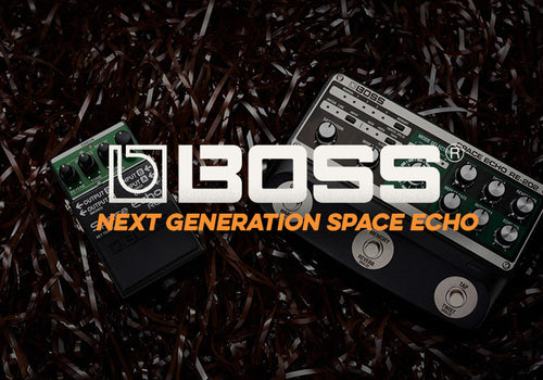 BOSS | RE-2 Space Echo