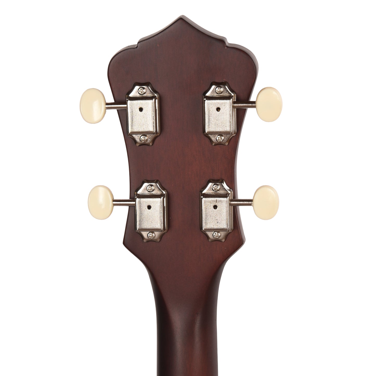 Recording King Dirty 30's Open Back Banjo