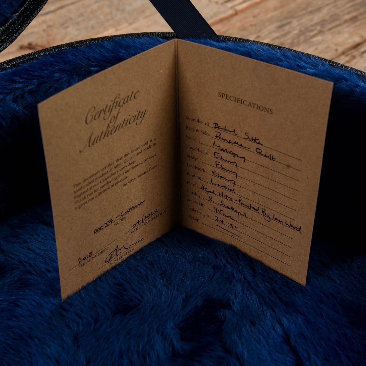 Atkin 00037 Flamingo Hand Painted by Ian Ward Acoustic Guitars / OM and Auditorium