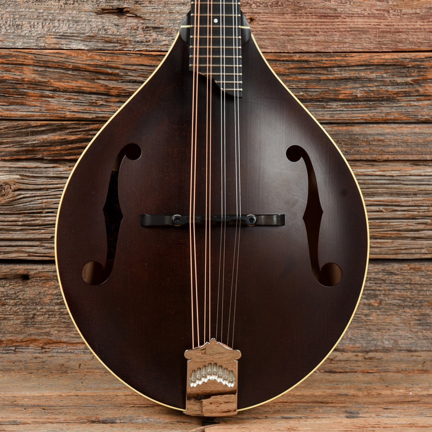 Collings MT Brown Folk Instruments / Mandolins