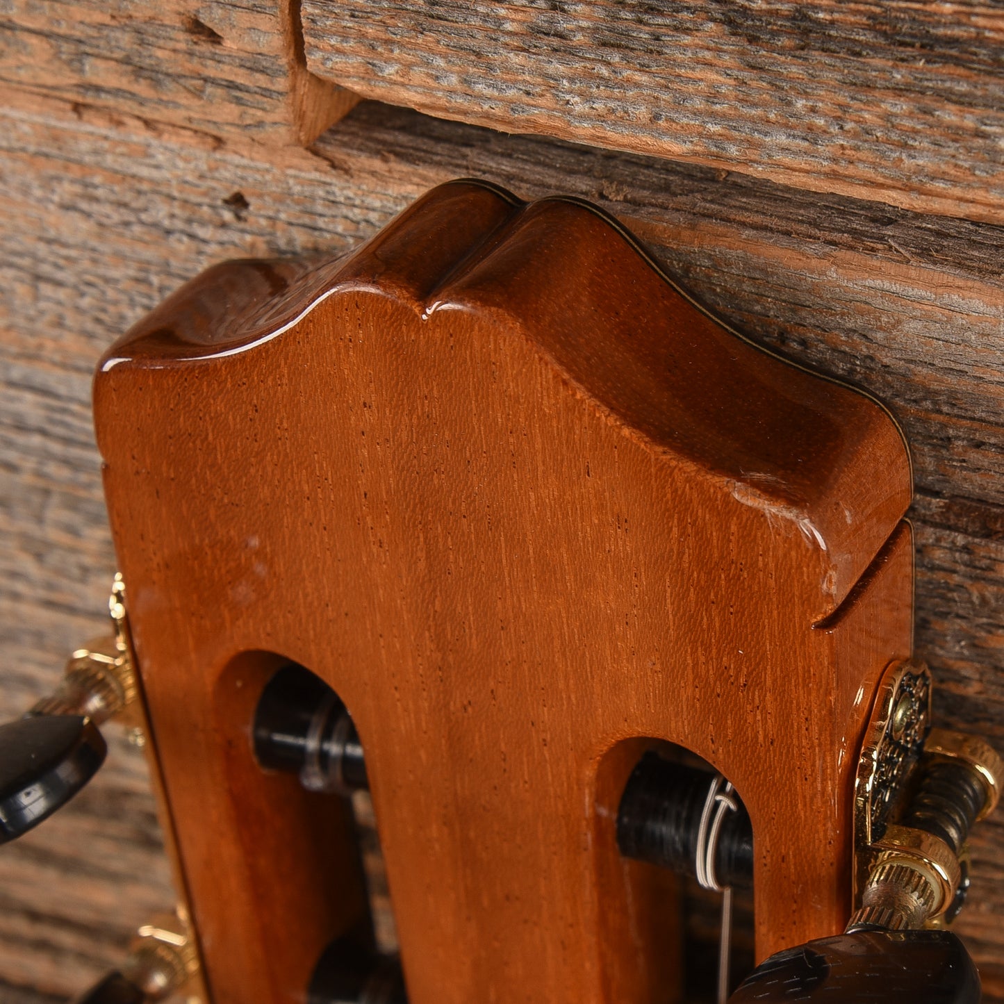 Cordoba C7 CD Natural Acoustic Guitars / Classical