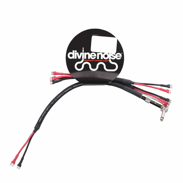 Divine Noise Combo Amp Speaker Cable Black 3 Speaker Chicago Music
