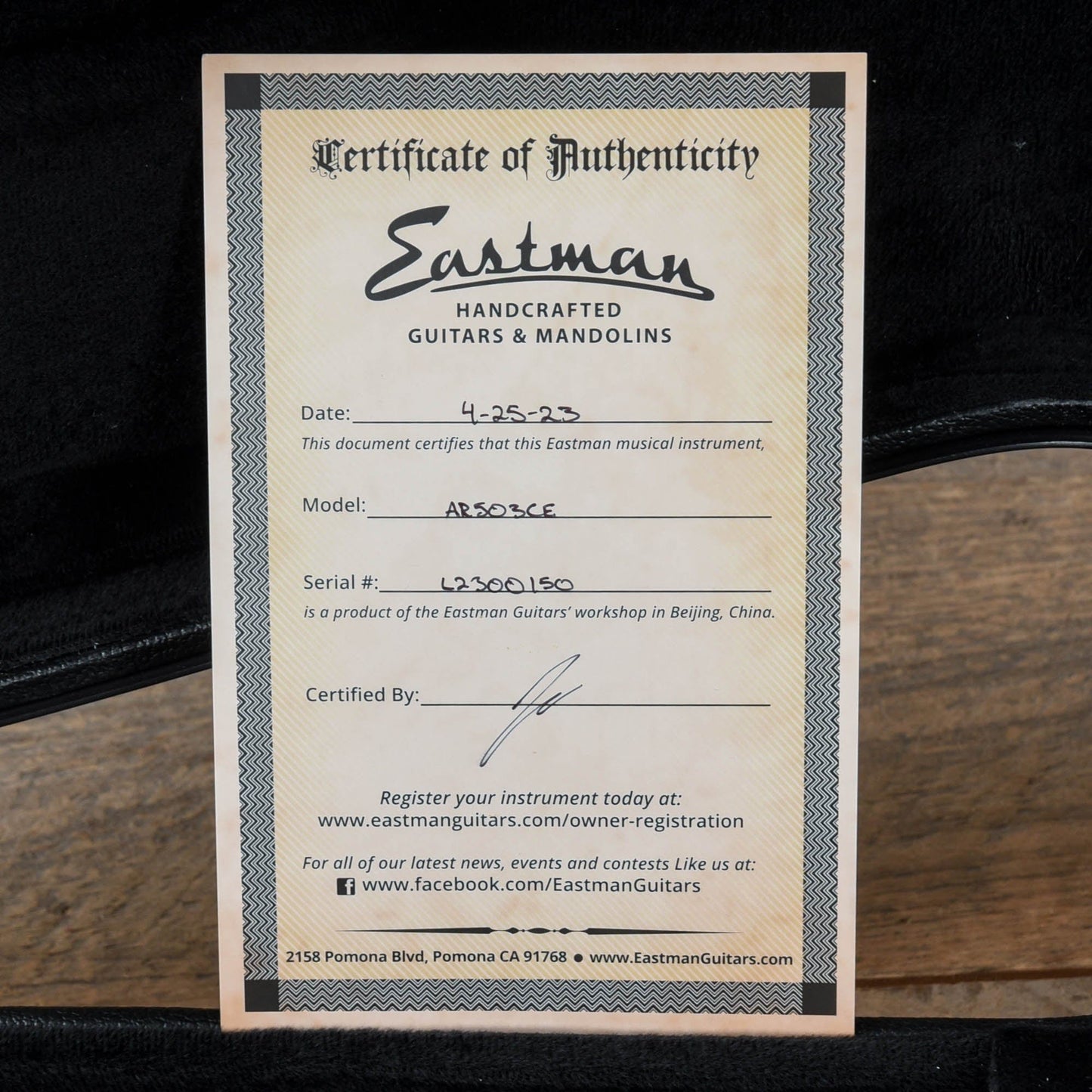 Eastman AR503CE Archtop Classic Electric Guitars / Hollow Body