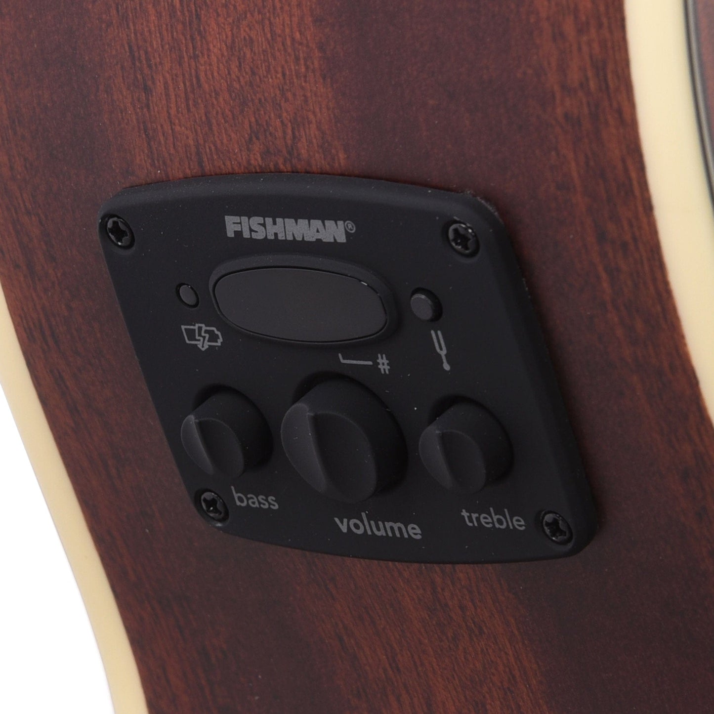 Fender Tim Armstrong Hellcat-12 String Natural Acoustic Guitars / 12-String