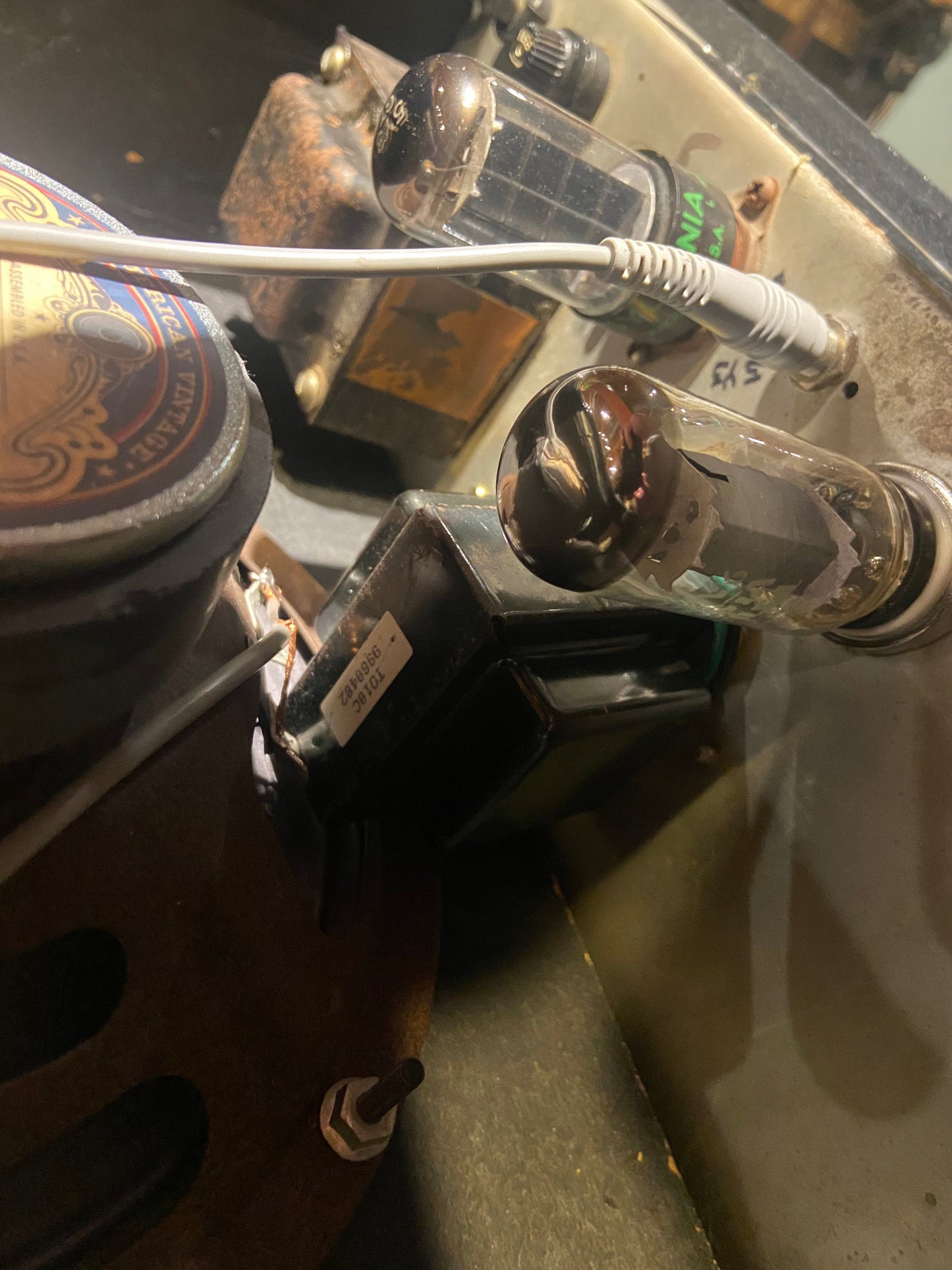 Fender Champ 1973 Amps / Guitar Cabinets