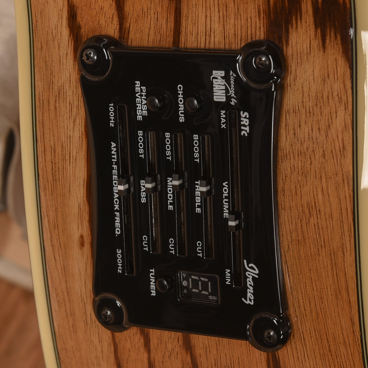 Ibanez EW20ZWE-NT1203 Natural Acoustic Guitars / OM and Auditorium