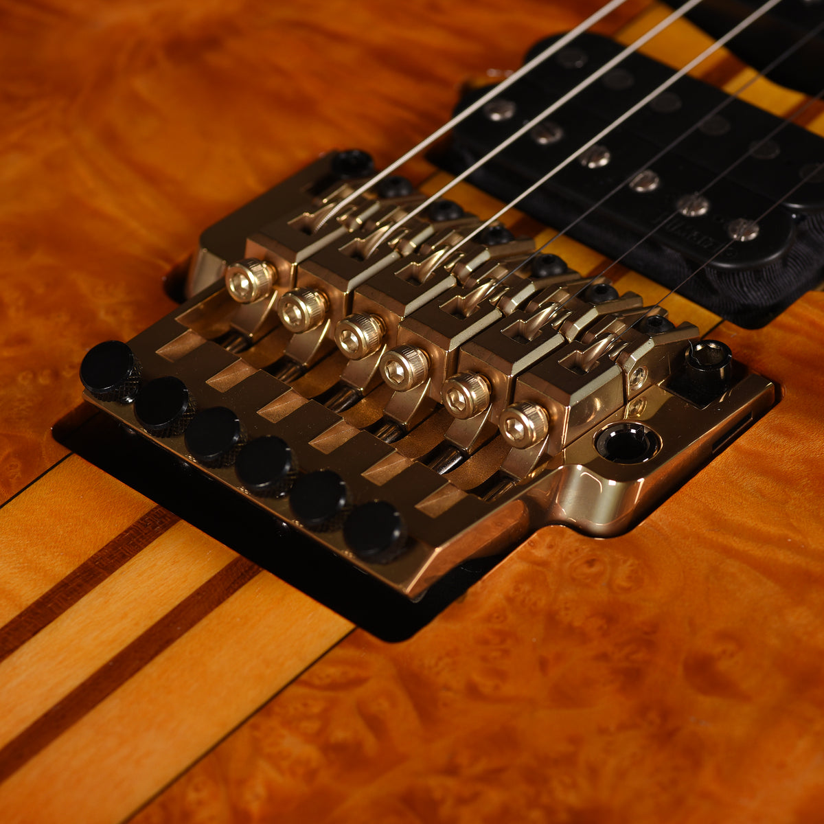Ibanez IV1RG RG Visions Electric Guitar Electric Guitars