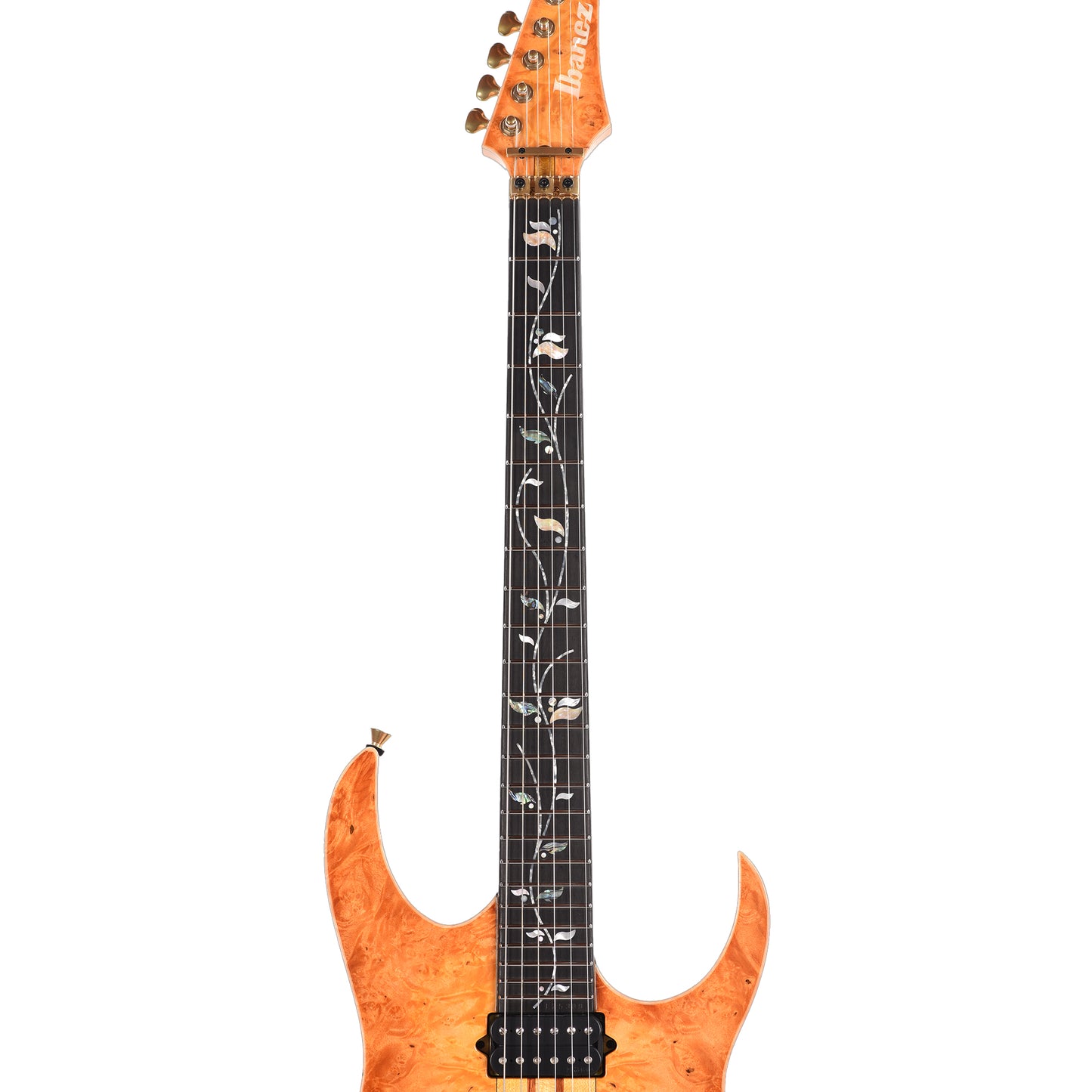 Ibanez IV1RG RG Visions Electric Guitar Electric Guitars / Solid Body