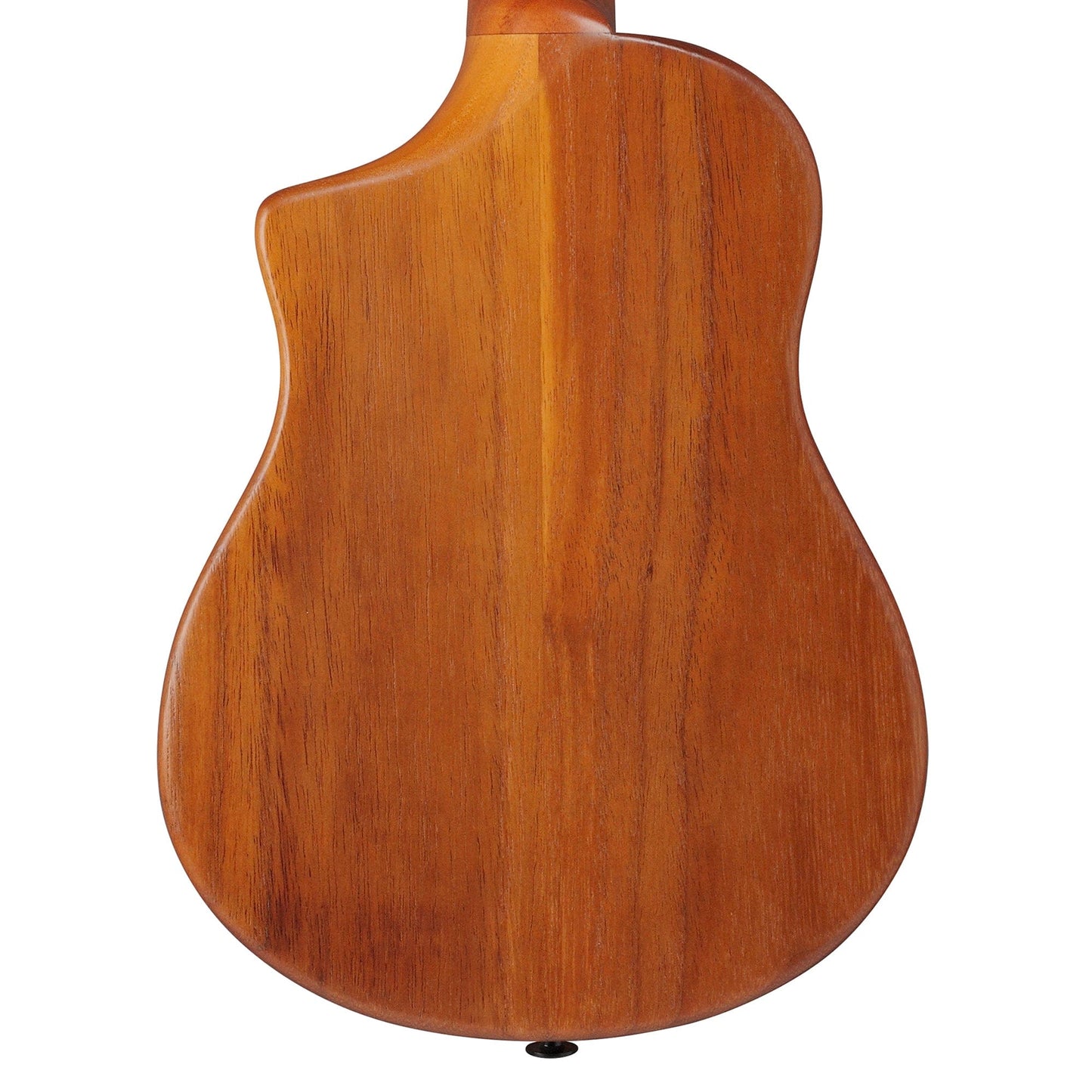 Ibanez AUT10OPN Tenor Ukulele Open Pore Natural Folk Instruments / Ukuleles