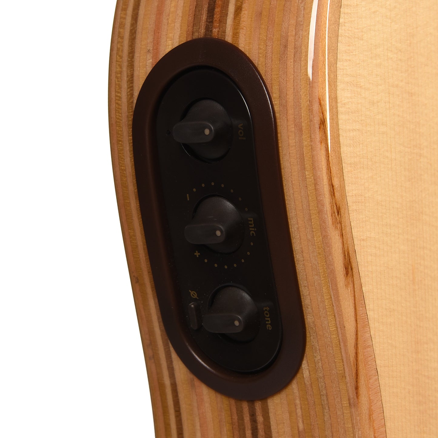 LR Baggs AEG-1 Acoustic Electric Guitar Engelmann Spruce Natural Acoustic Guitars / Built-in Electronics