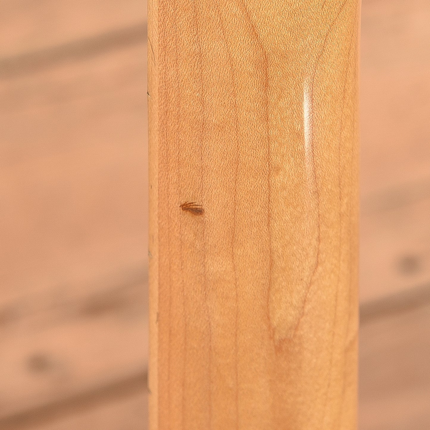 Univox Hi-Flier Phase IV Natural 1970s