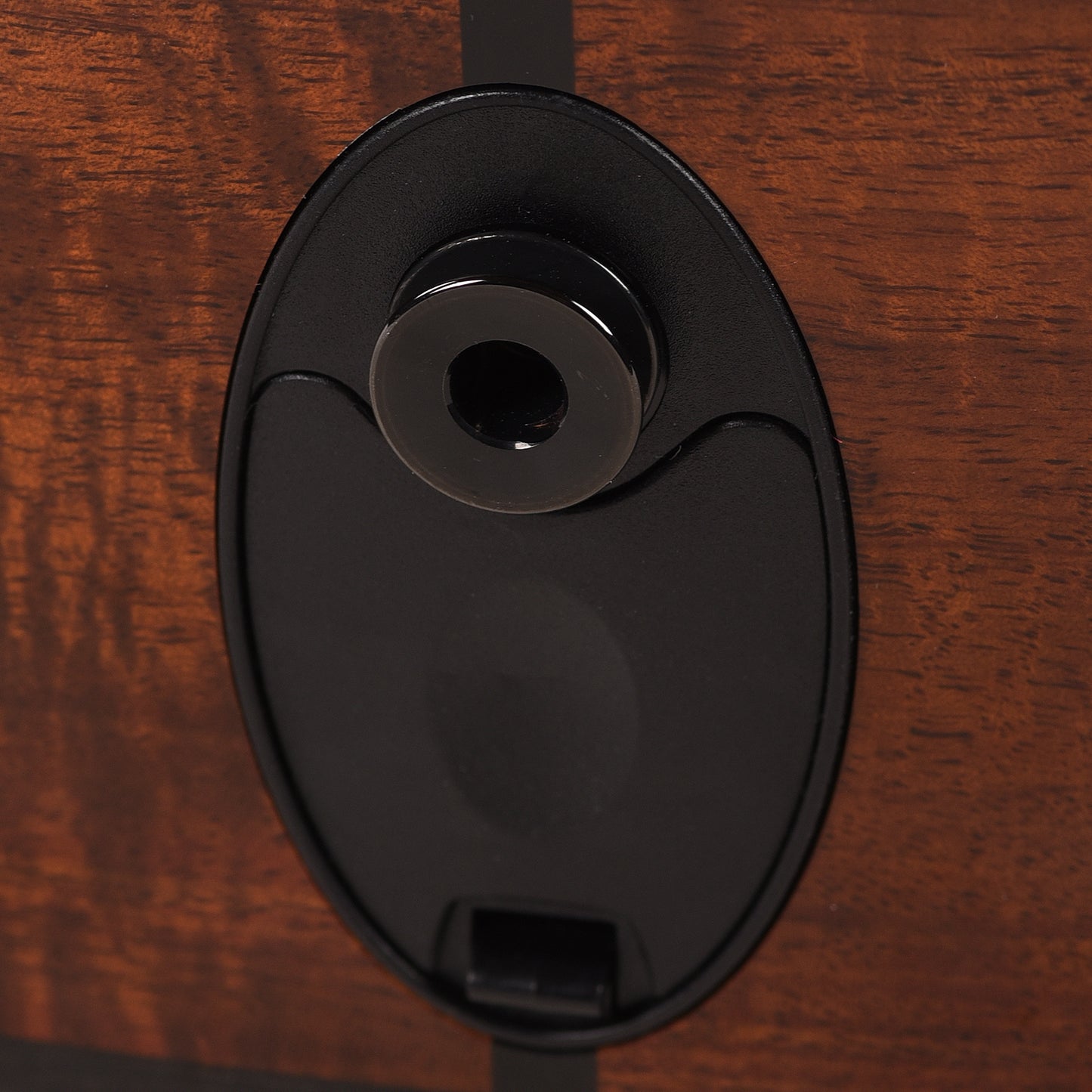 Taylor Custom Grand Concert 12-Fret Tasmanian Blackwood Antique Blonde w/Engraved Twist & Ocean Vine Inlays