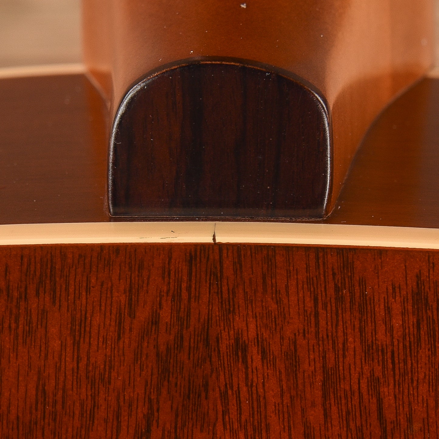 Seagull Coastline S6 Cedar Folk Natural