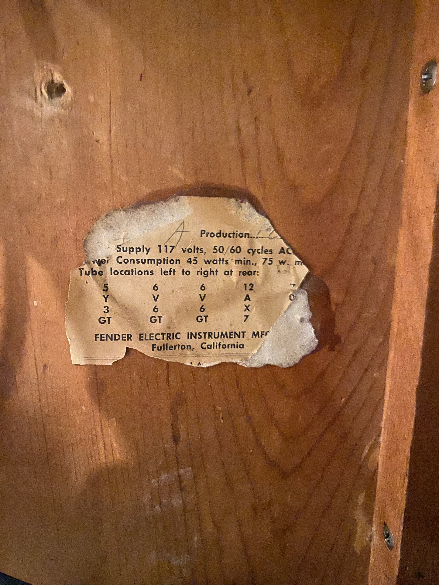 Fender Princeton Amp 1962