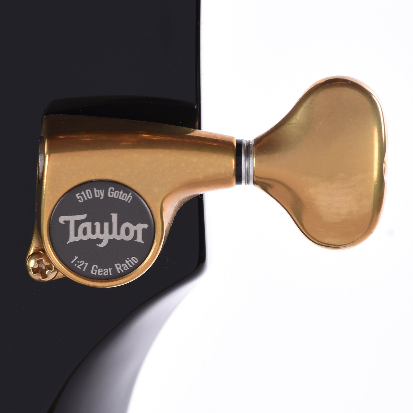 Taylor Custom "The Catch" #27 NAMM 2025 T5z Figured Maple/Urban Ash Antique Blond w/Black Back