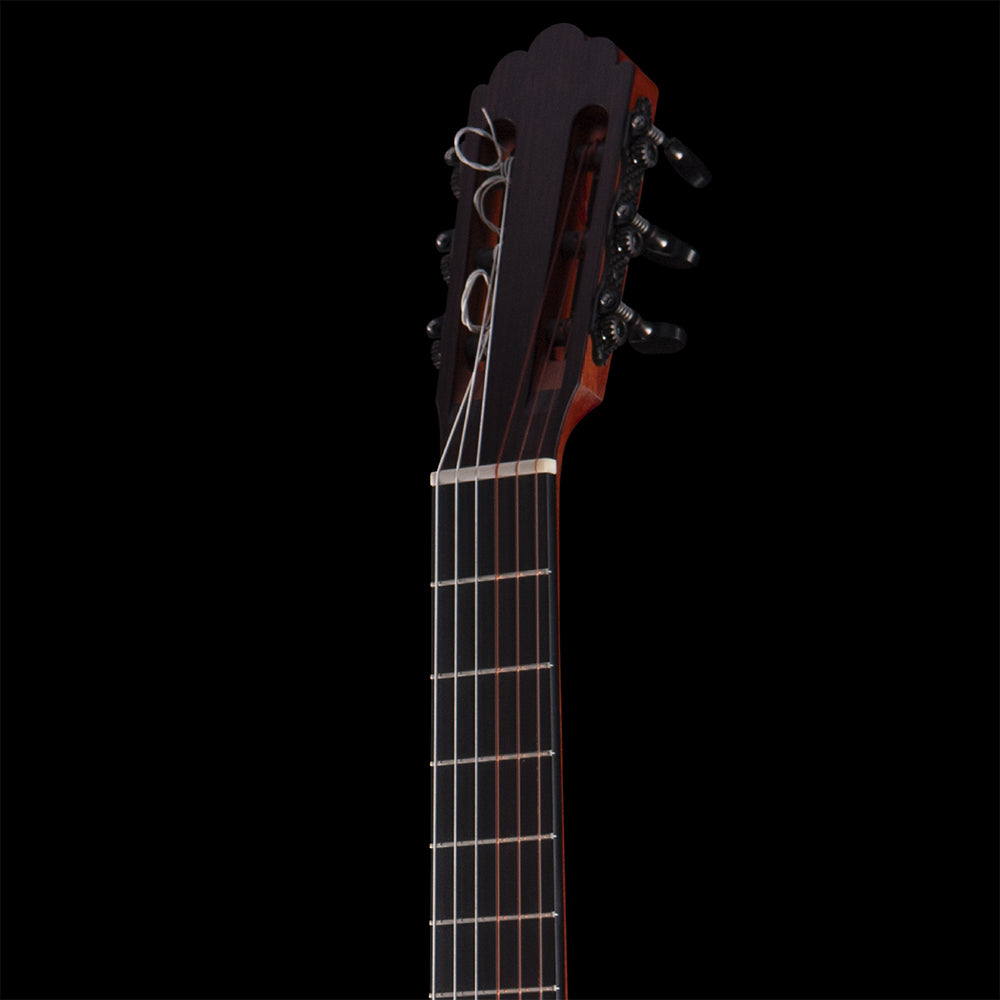 R. Robinson Flamenco (BGS 2026) Acoustic Guitars