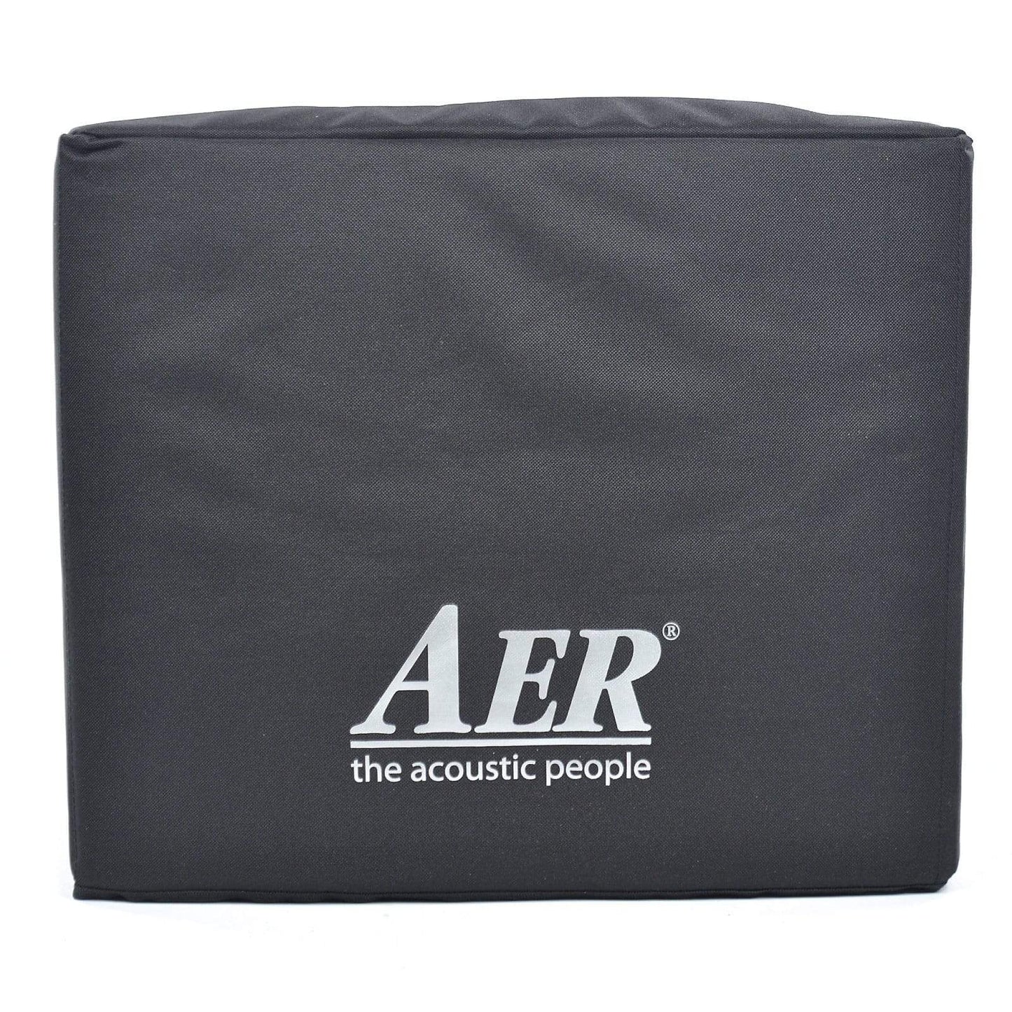 AER Domino-2A 100W 2x8 Acoustic Guitar Combo Amp Black Amps / Acoustic Amps