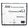 AER Domino-2A 100W 2x8 Acoustic Guitar Combo Amp Black Amps / Acoustic Amps