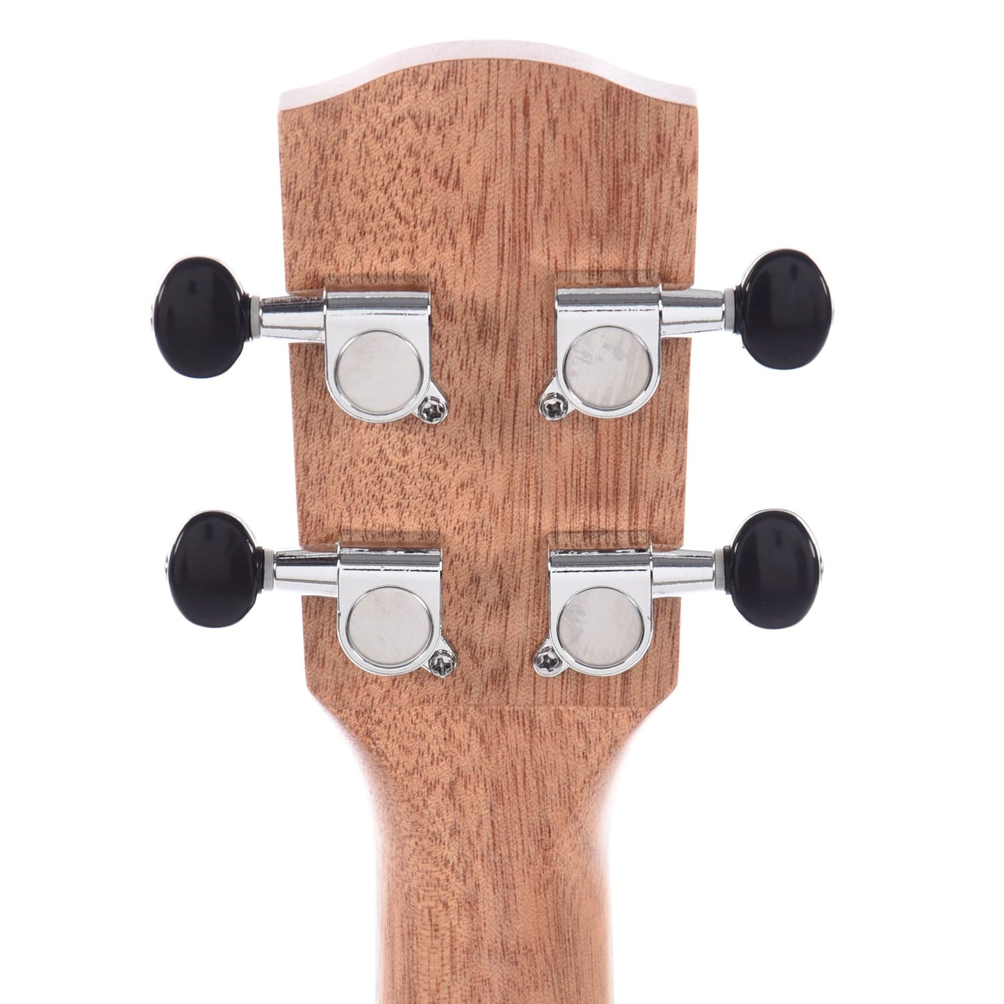 Alvarez RU26C Regent Concert Ukulele Natural Satin Folk Instruments / Ukuleles