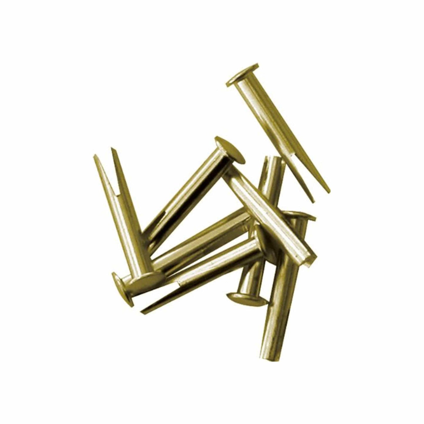 Cannon Brass Rivets (8-Pack) Drums and Percussion / Parts and Accessories / Drum Parts