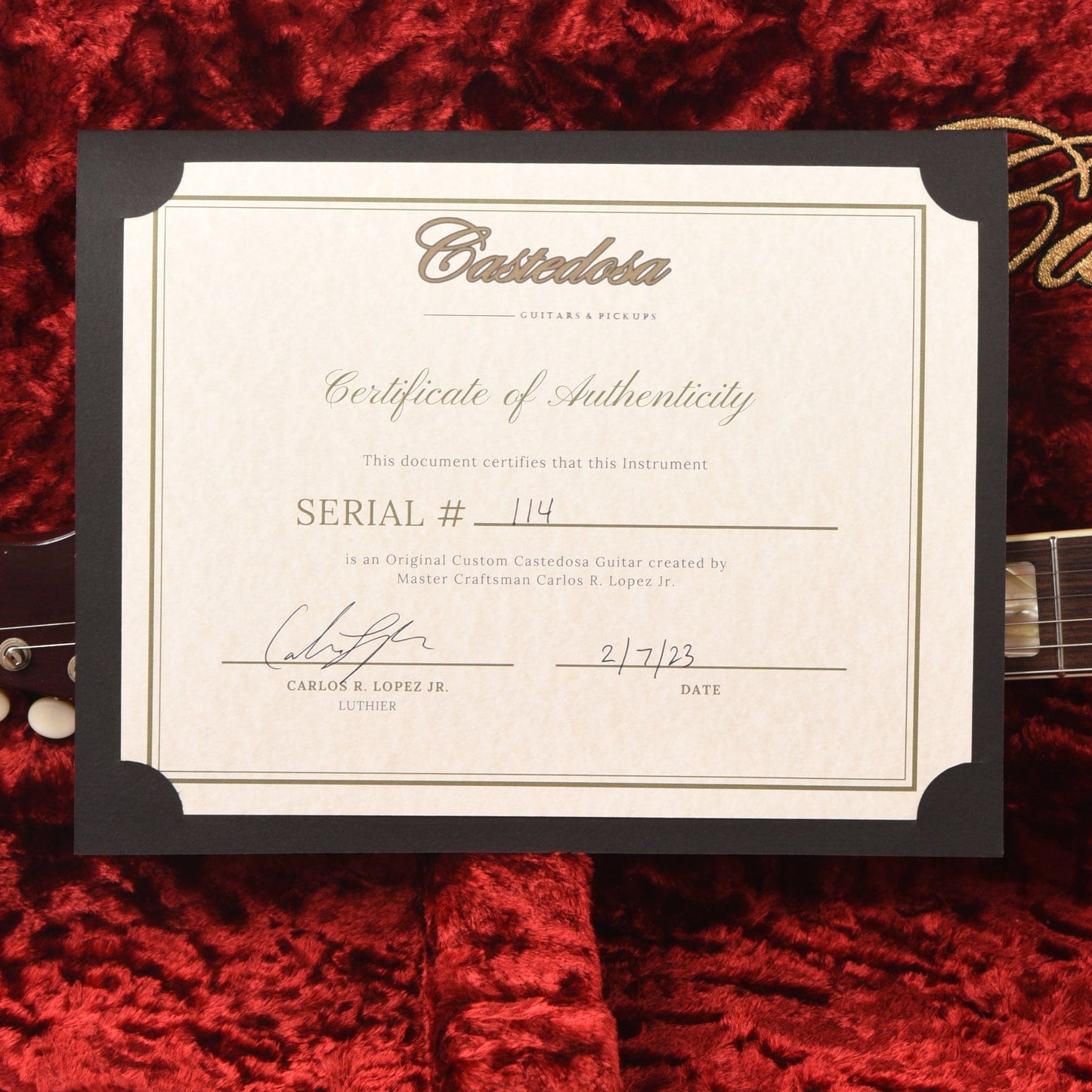 Castedosa Marianna Semi-Hollow Aged Gold Sparkle w/Dove Half Guard Electric Guitars / Semi-Hollow