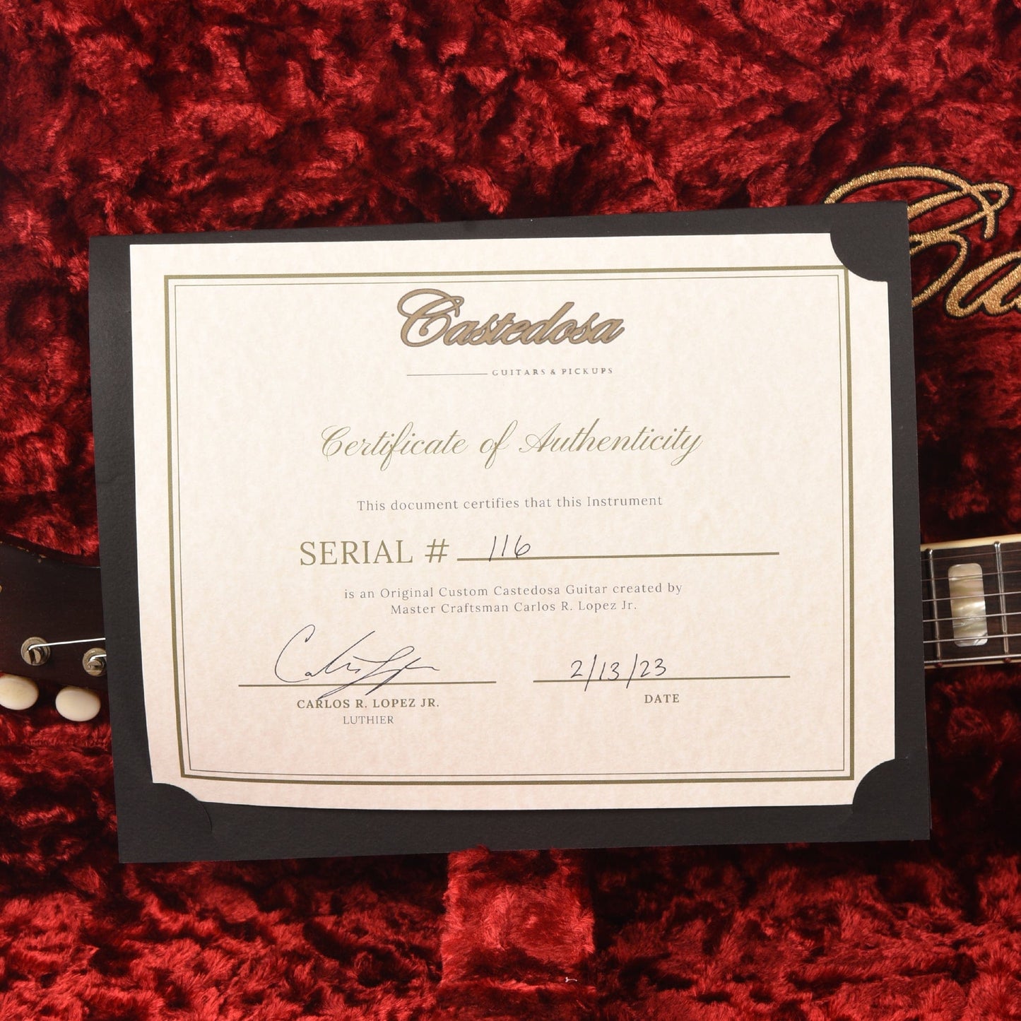 Castedosa Conchers Standard Aged Lake Placid Blue Tortoise Pickguard Electric Guitars / Solid Body