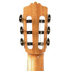 Cordoba C-9 Cedar Acoustic Guitars / Classical