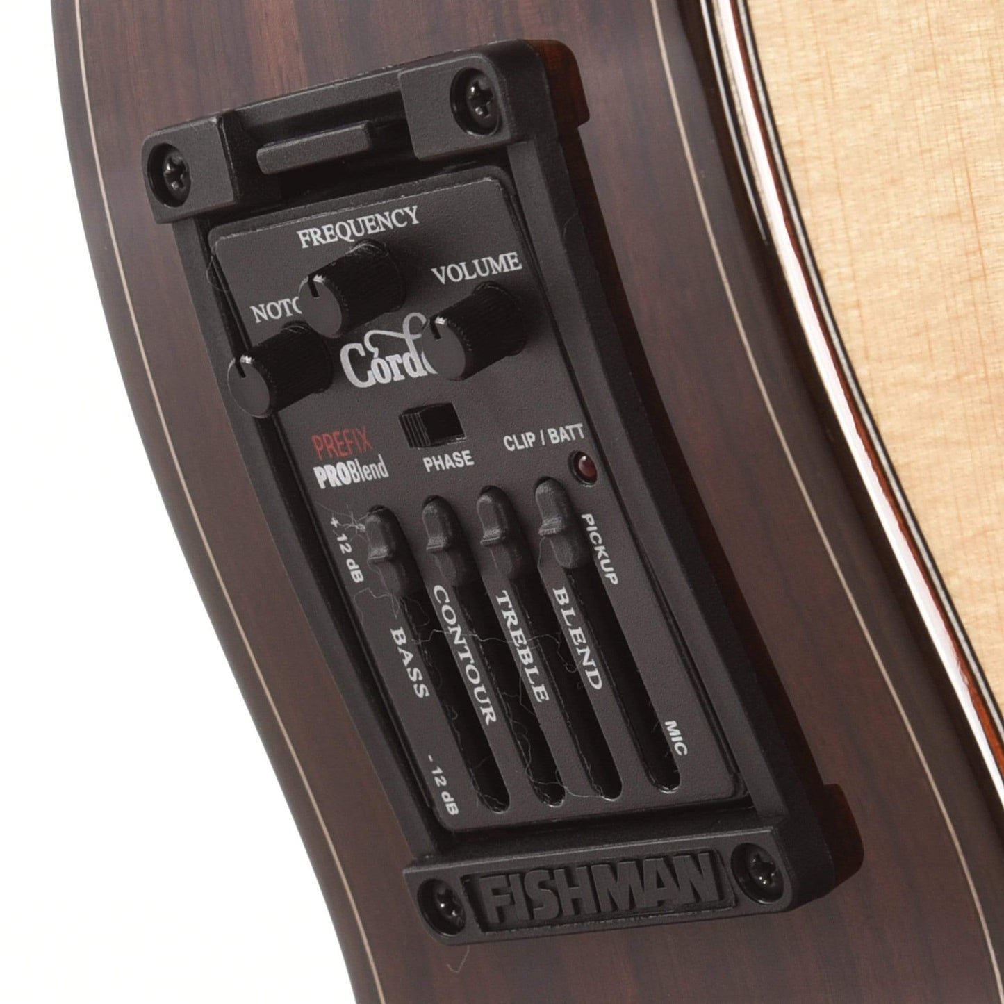 Cordoba GK Pro Negra w/Humicase Acoustic Guitars / Classical