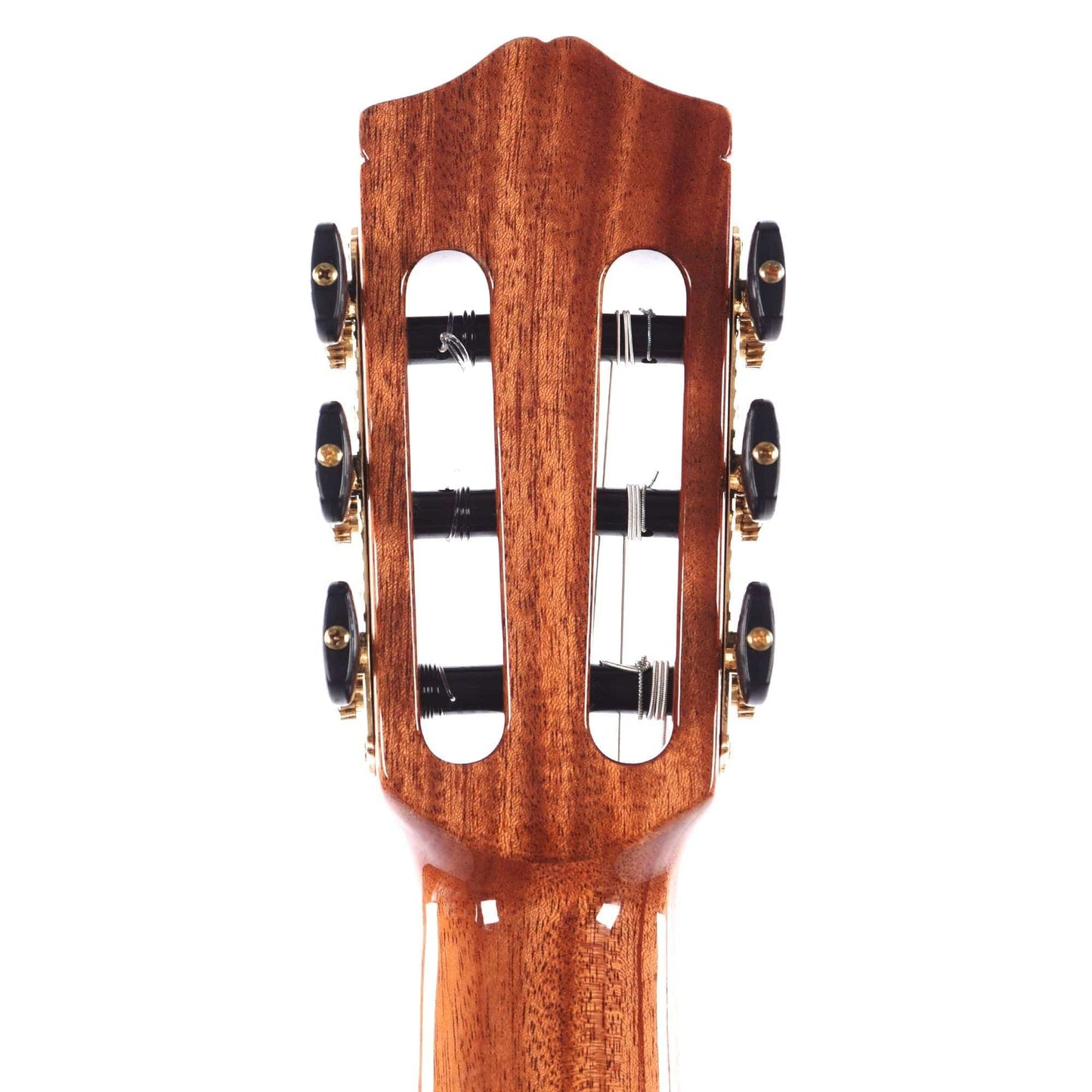 Cordoba Iberia Series C7-CD Cedar/Indian Rosewood Classical Guitar Acoustic Guitars / Classical