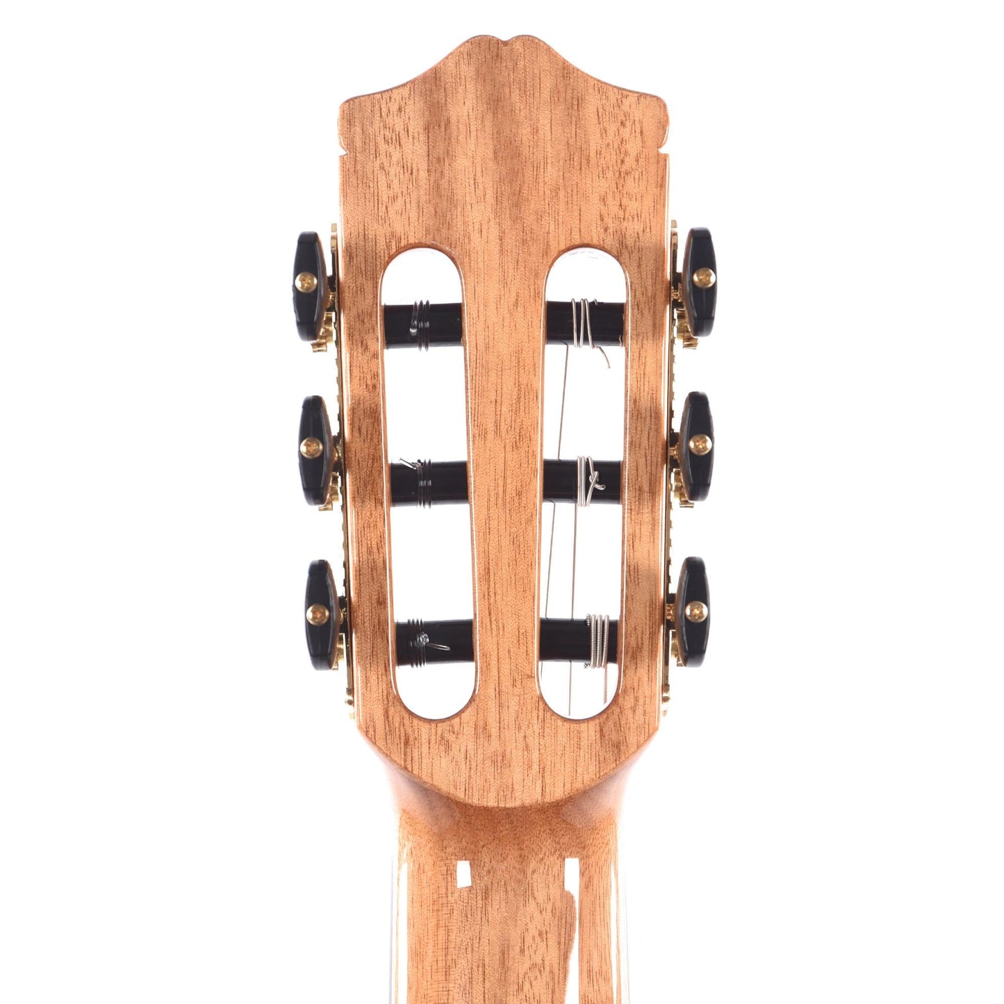 Cordoba Iberia Series C7 Spruce Top/Indian Rosewood Classical Guitar Acoustic Guitars / Classical