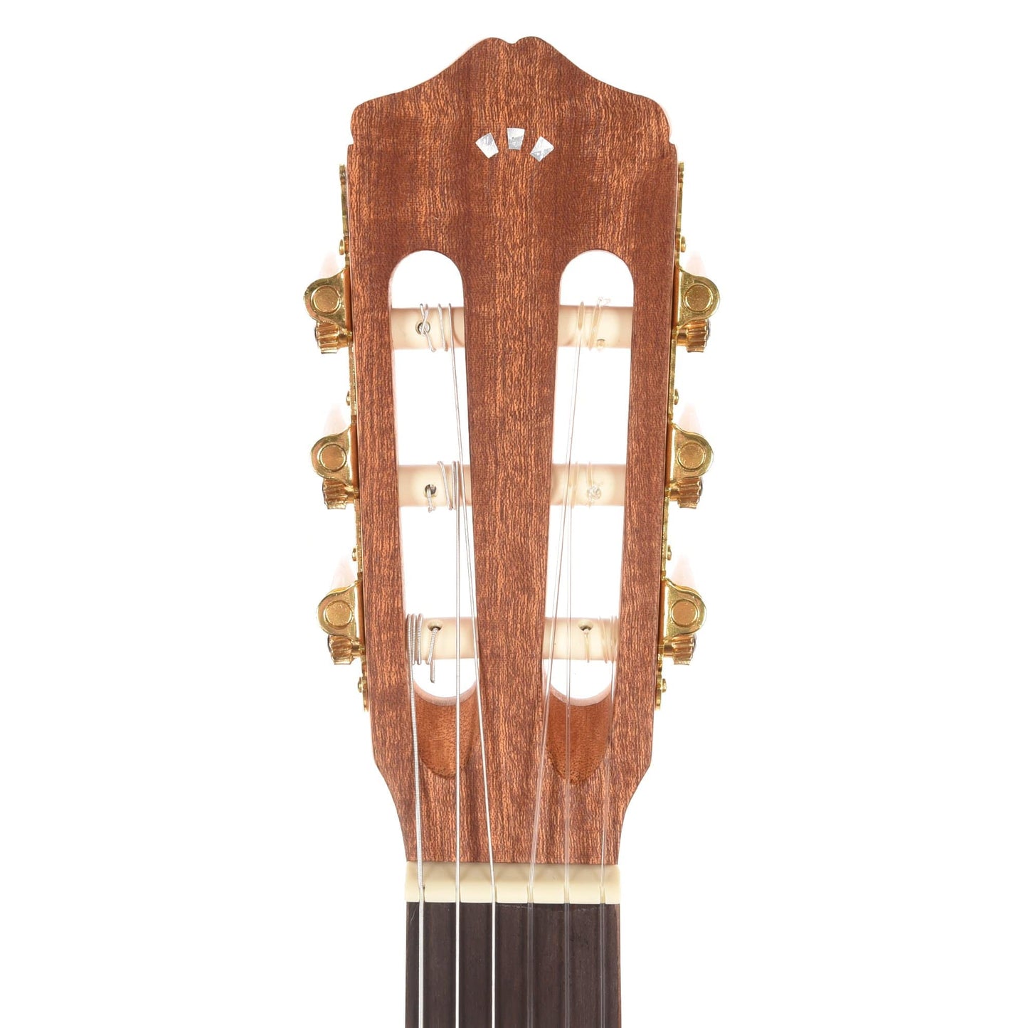 Cordoba Protege Series C1M 1/2 Size Classical Guitar Acoustic Guitars / Classical