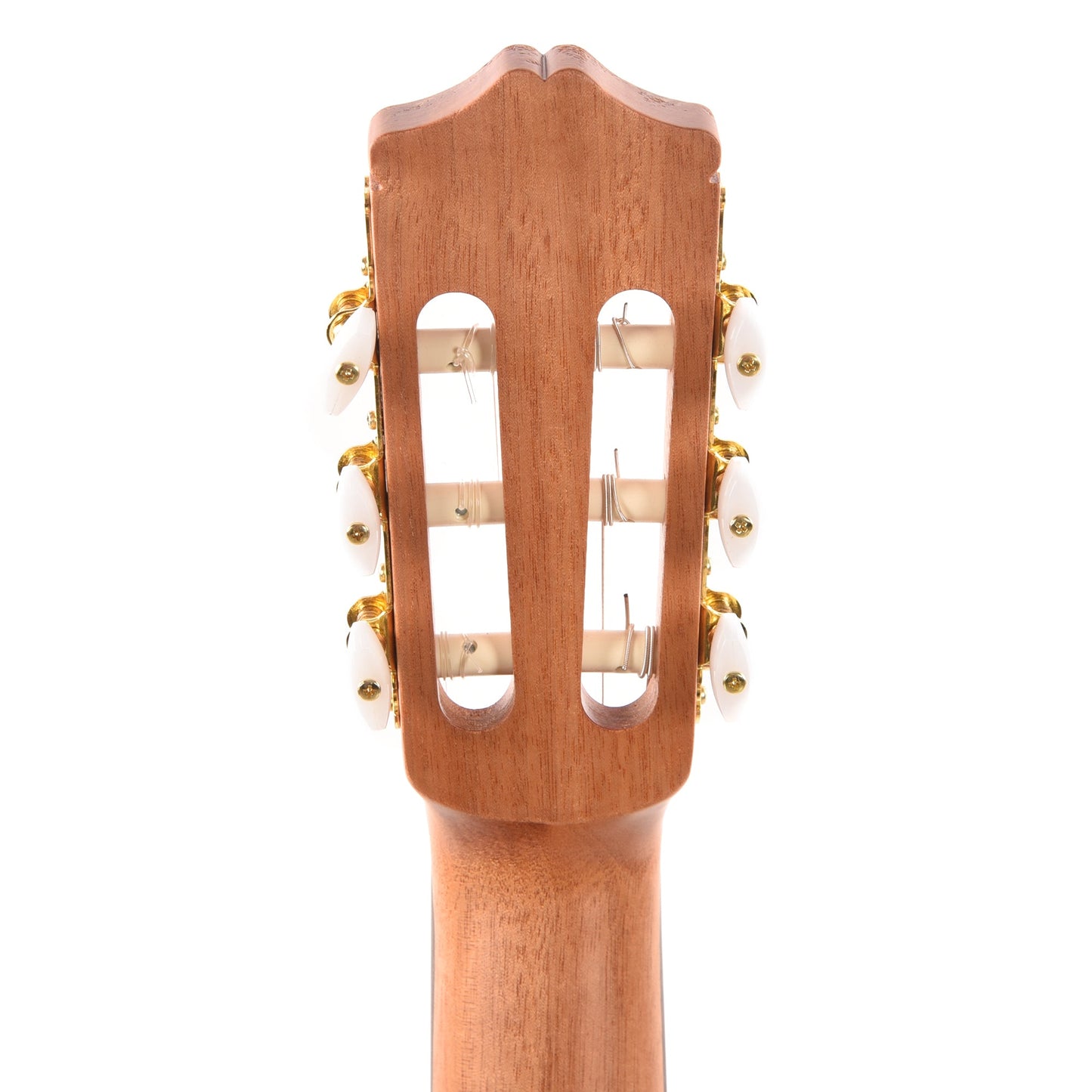 Cordoba Protege Series C1M Classical Guitar Acoustic Guitars / Classical