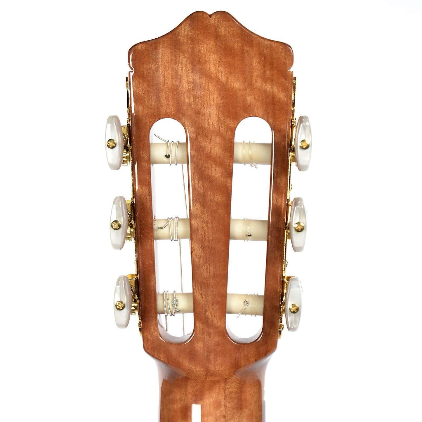 Cordoba C5 Left Handed Cedar & Mahogany Classical Guitar Acoustic Guitars / Left-Handed