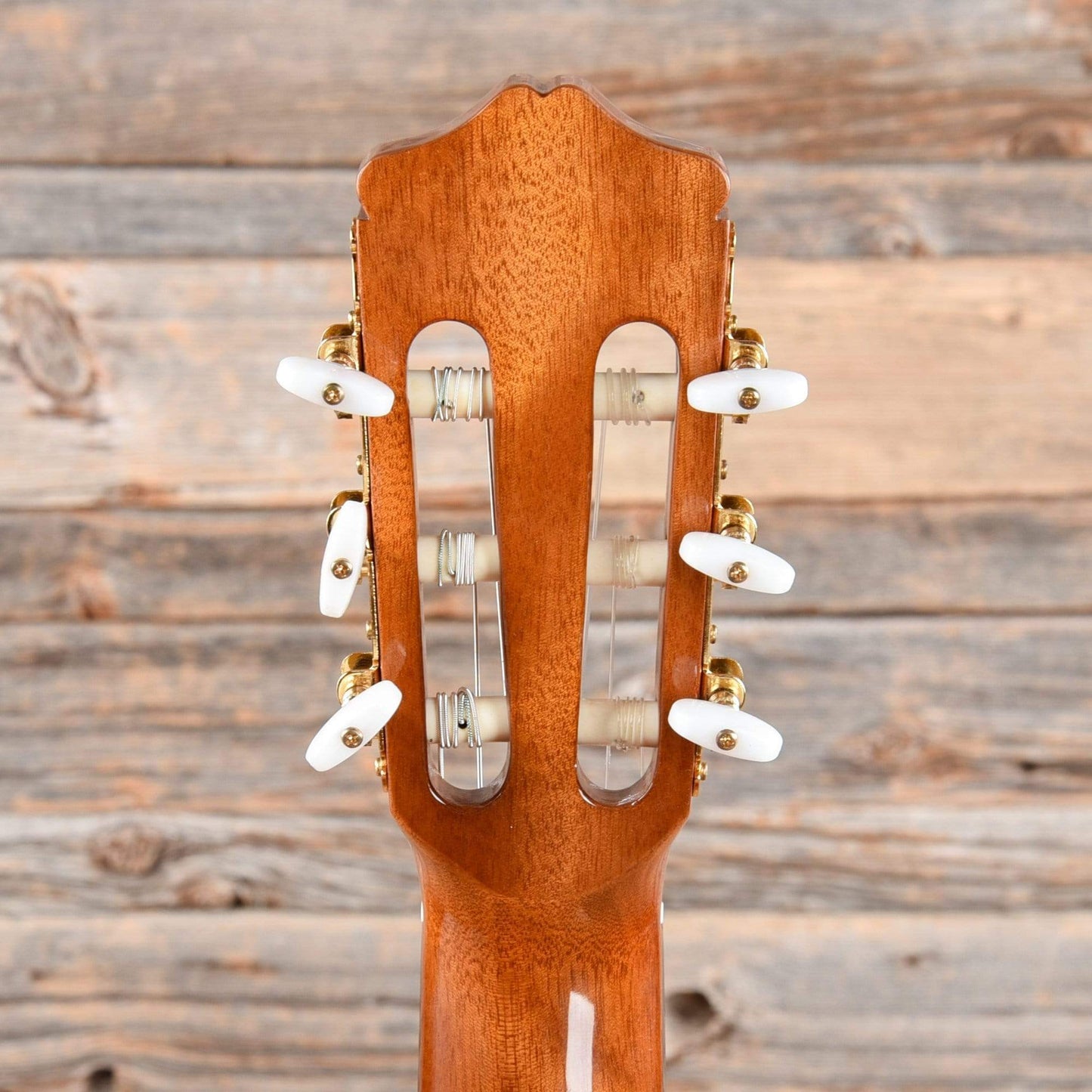 Cordoba C5 Left Handed Cedar & Mahogany Classical Guitar Acoustic Guitars / Left-Handed