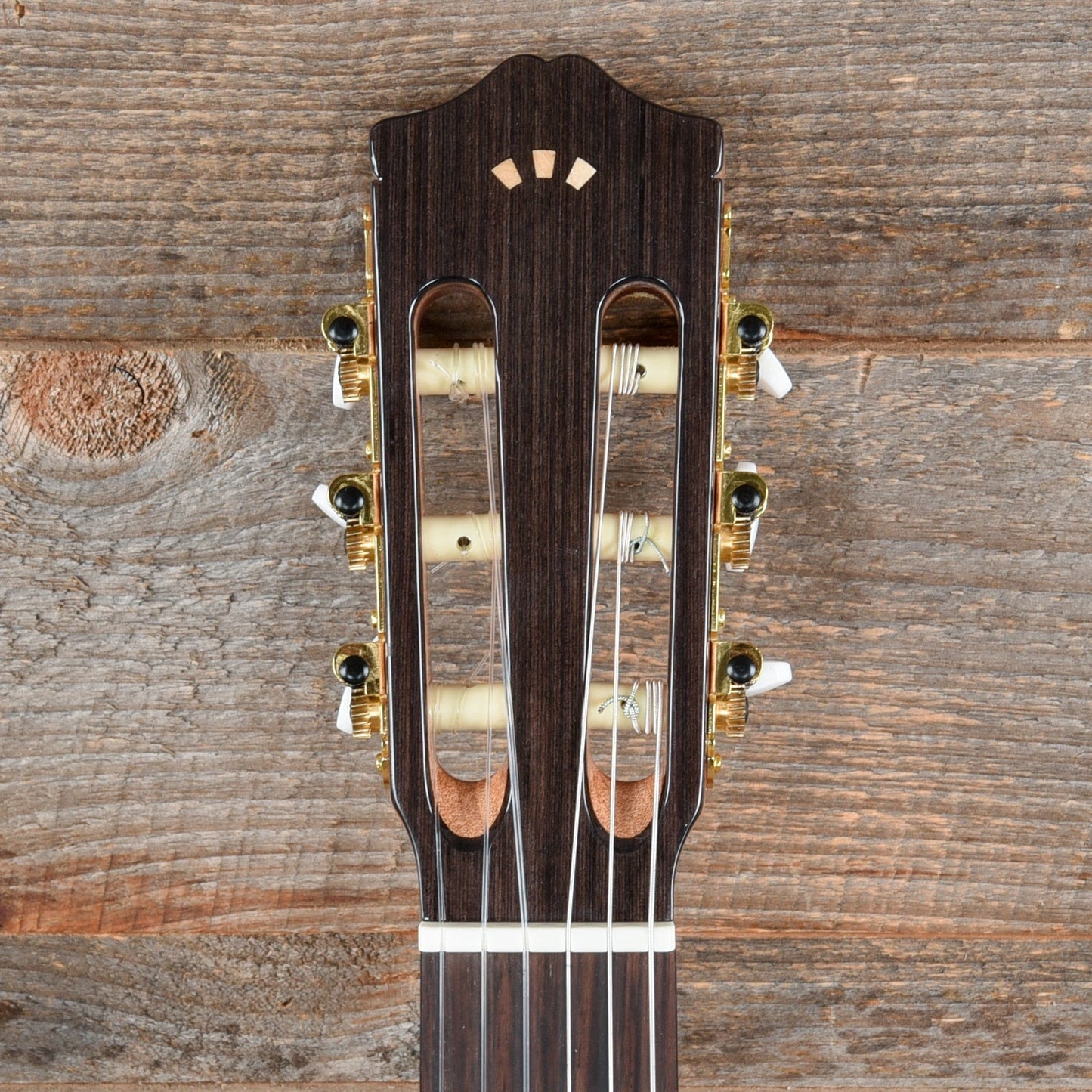 Cordoba C5 Left Handed Cedar & Mahogany Classical Guitar Acoustic Guitars / Left-Handed