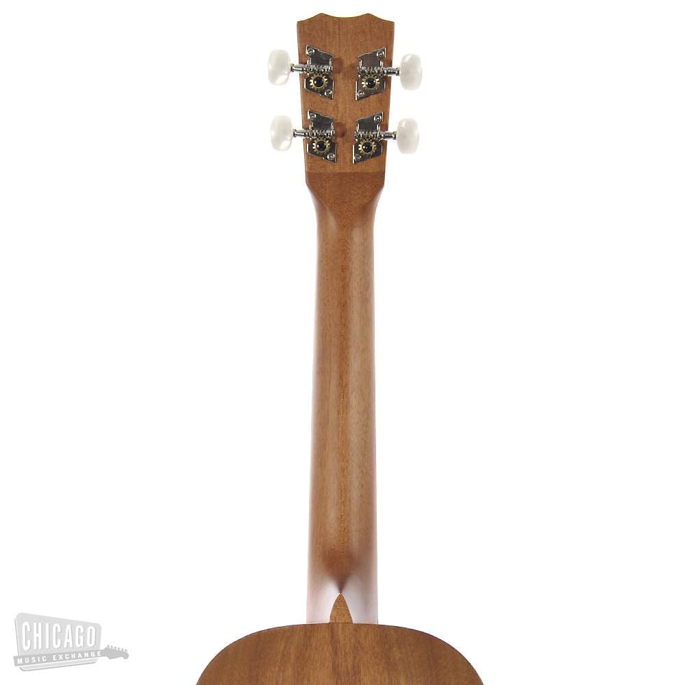 Cordoba 20TM Tenor Ukulele Folk Instruments / Ukuleles
