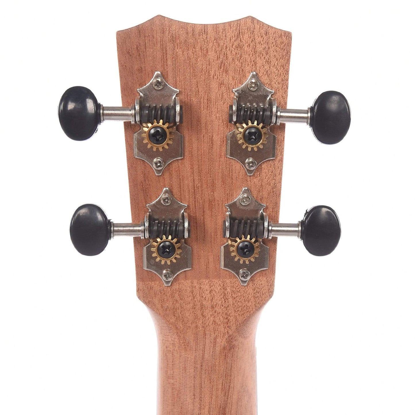 Cordoba 21C Concert Ukulele Exotic Striped Ebony Folk Instruments / Ukuleles