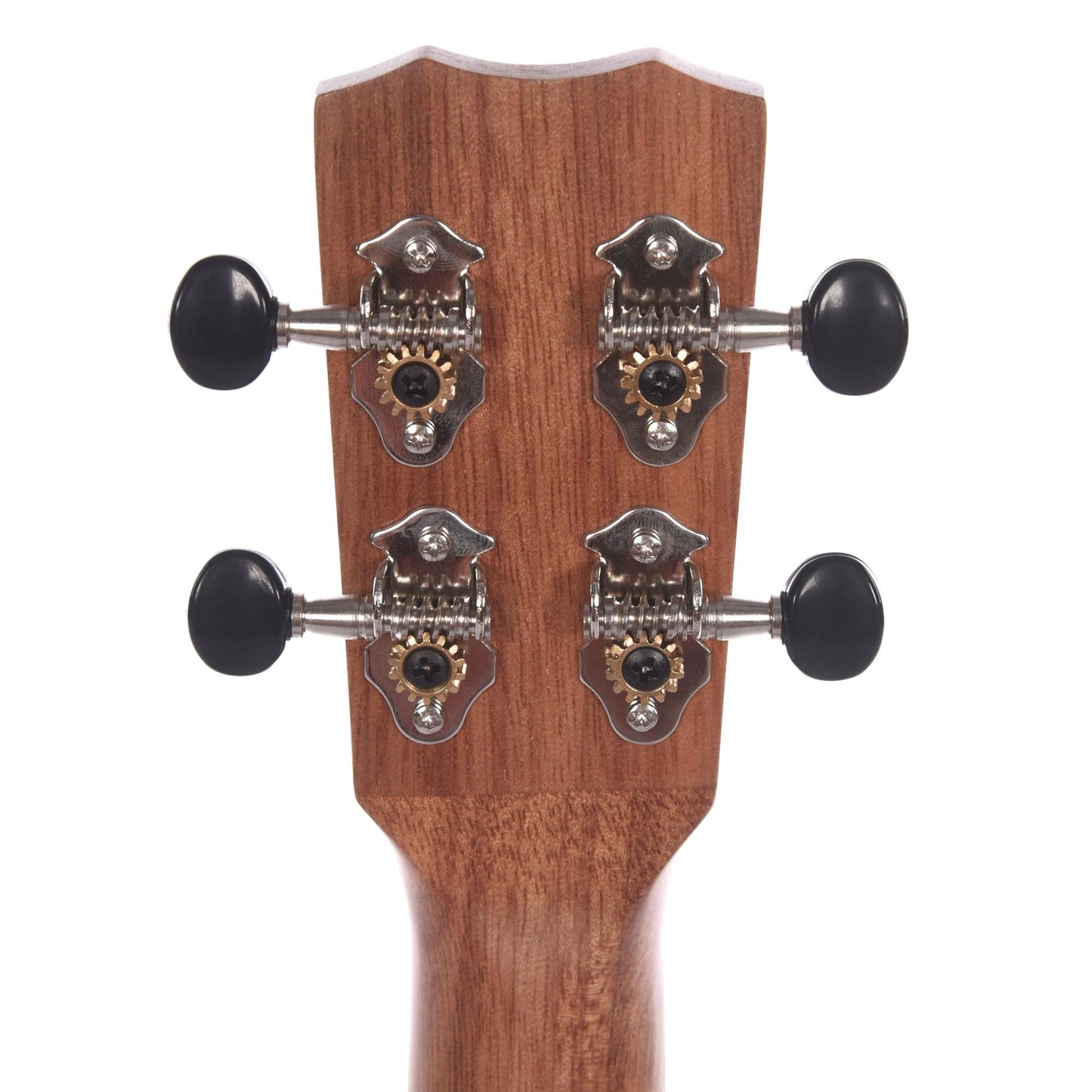 Cordoba 25C Concert Ukulele Solid Acacia Top Folk Instruments / Ukuleles