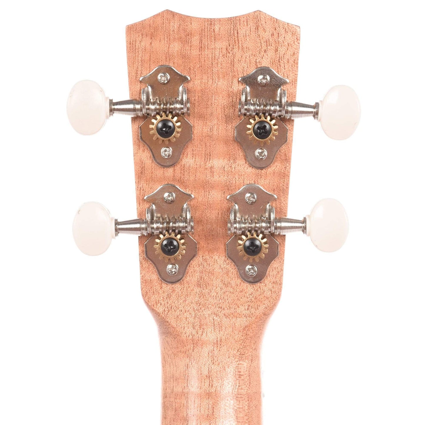 Cordoba Protege U1MS Soprano Ukulele Folk Instruments / Ukuleles