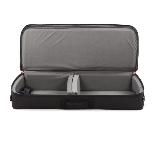 D'Addario Backline Pedalboard Transporter 2 Case Chicago Music Exchange