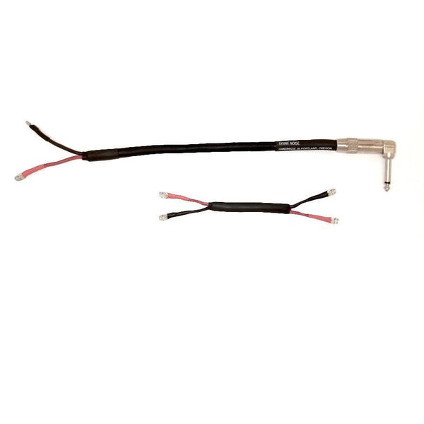 Divine Noise Combo Amp Speaker Cable Black 2 Speaker Chicago Music