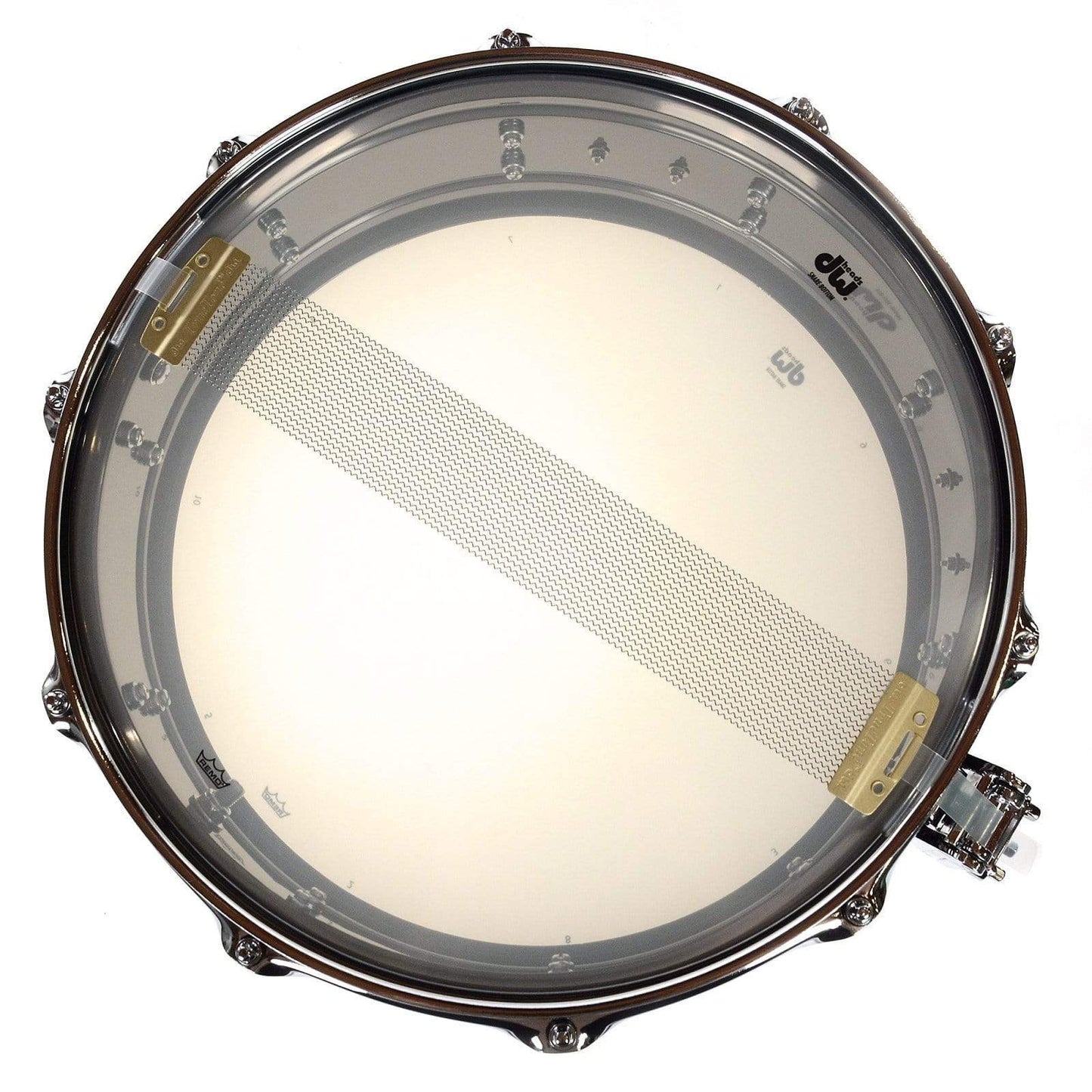 DW 5.5x14 Design Black Nickel Over Brass Snare Drum Drums and Percussion / Acoustic Drums / Snare