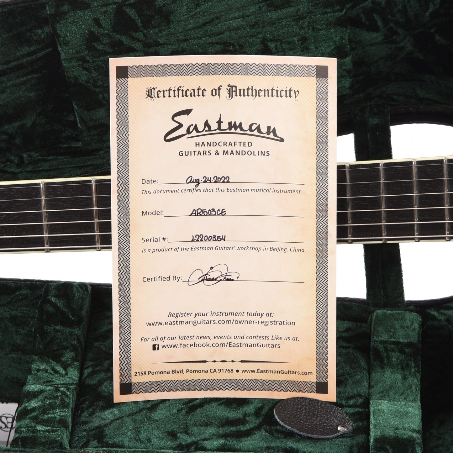 Eastman AR503CE Archtop Classic Electric Guitars / Archtop