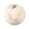 Evans 13" Calftone Drumhead Drums and Percussion / Parts and Accessories / Heads