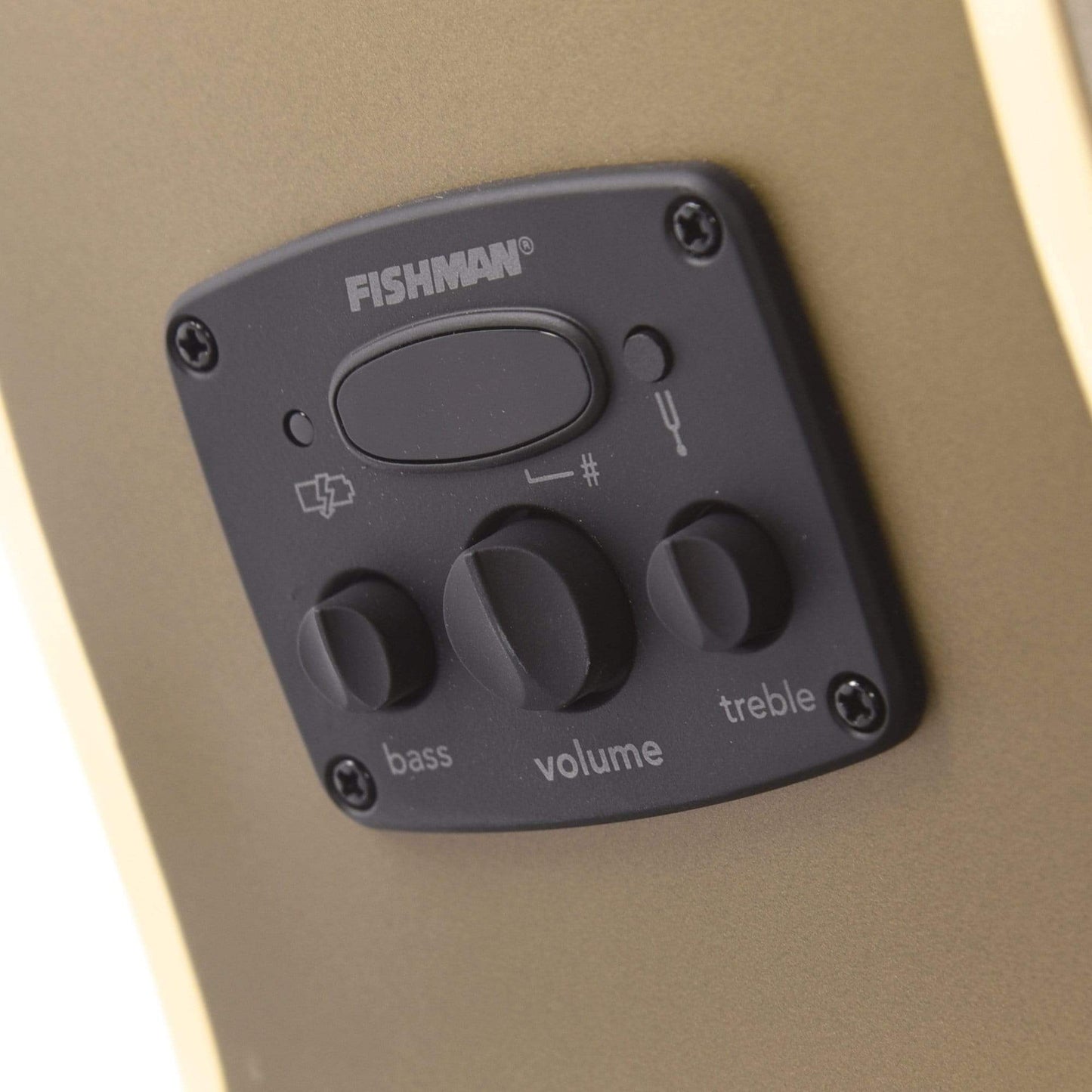 Fender Newporter Player Acoustic Olive Satin Acoustic Guitars / Built-in Electronics