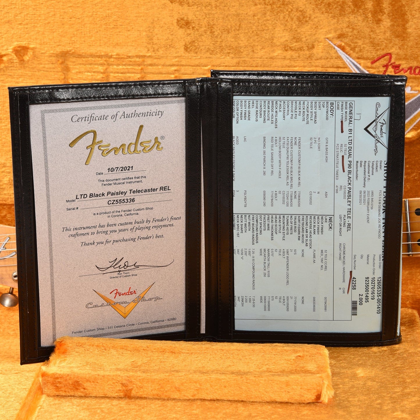 Fender Custom Shop Limited Edition Dual P90 Telecaster Relic Black Paisley Electric Guitars / Solid Body