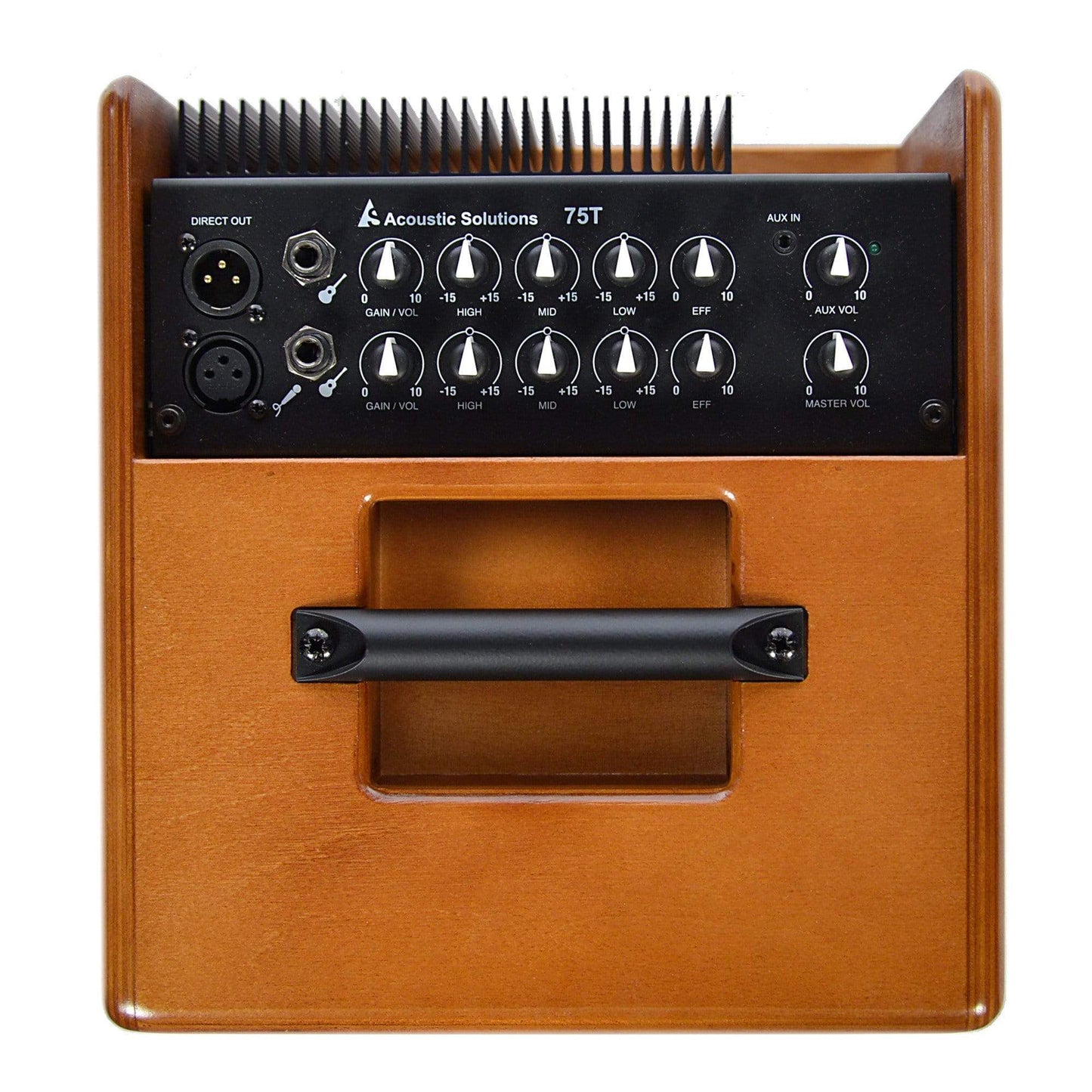 Acoustic Solutions ASG-75 75 Watt 2-Channel Acoustic Guitar Amplifier Wood Amps