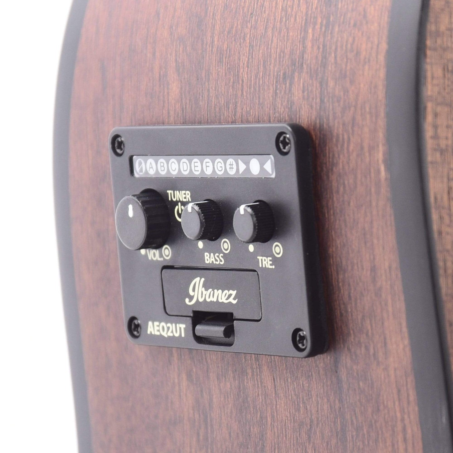 Ibanez ALT20 Acoustic Open Pore Natural Acoustic Guitars / Dreadnought